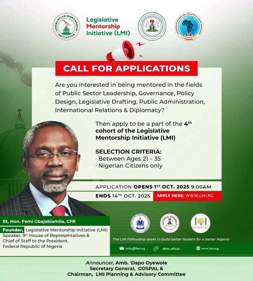 Legislative Mentorship Initiative (LMI)