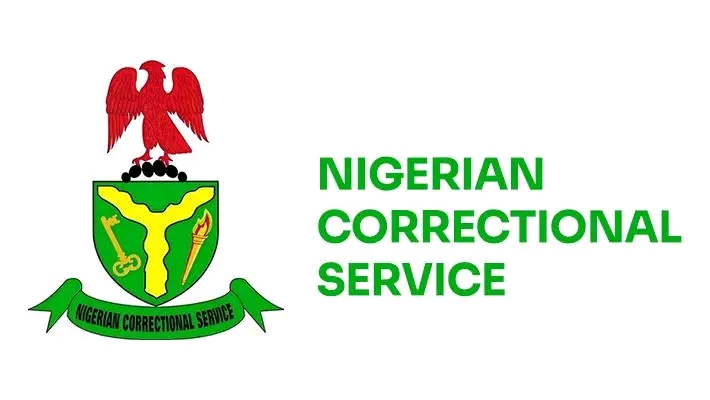 Nigerian Correctional Service Guarantor Form: Download And Complete Guide For 2025 Applicants