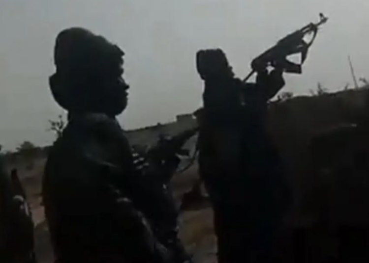 Bandits Kill Resident, Injure Two Others, Rustle 40 Cows In Kano