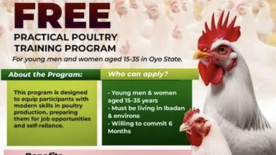 Apply For Free Practical Poultry Training Programme For Farmers