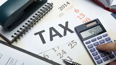 Tax Laws: Economist Advocates Phased Implementation To Protect Informal Sector